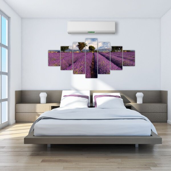 Obraz - Levandulové pole a hory (210x100 cm)