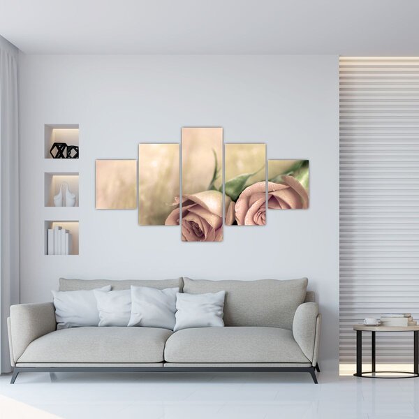 Obraz - Jemné růže (125x70 cm)