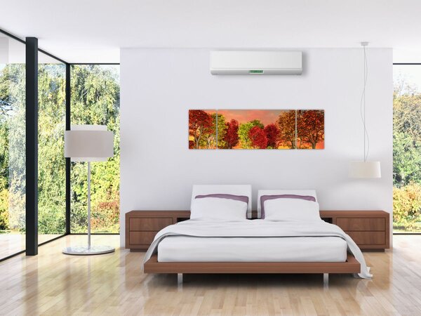 Obraz - Barevné stromy (170x50 cm)