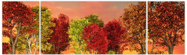 Obraz - Barevné stromy (170x50 cm)