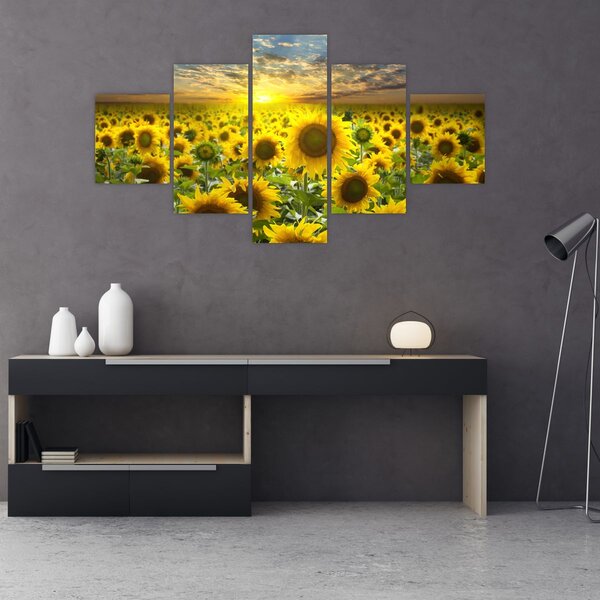 Obraz - Slunečnice při západu slunce (125x70 cm)