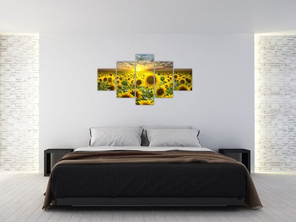 Obraz - Slunečnice při západu slunce (125x70 cm)
