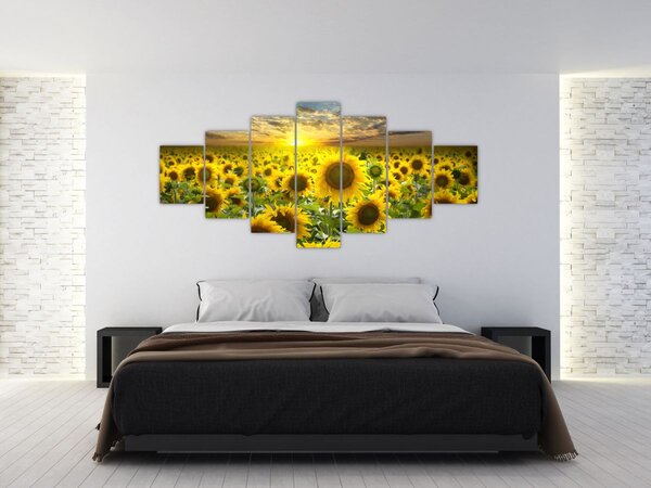 Obraz - Slunečnice při západu slunce (210x100 cm)
