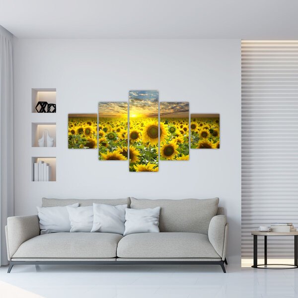 Obraz - Slunečnice při západu slunce (125x70 cm)