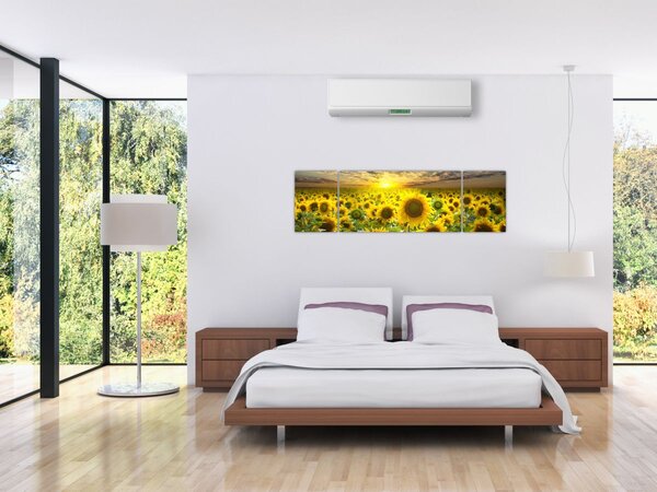 Obraz - Slunečnice při západu slunce (170x50 cm)