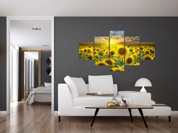 Obraz - Slunečnice při západu slunce (125x70 cm)