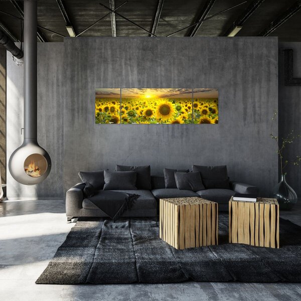 Obraz - Slunečnice při západu slunce (170x50 cm)