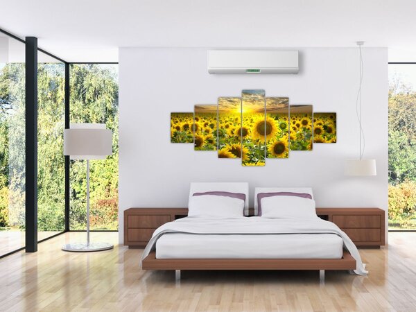 Obraz - Slunečnice při západu slunce (210x100 cm)