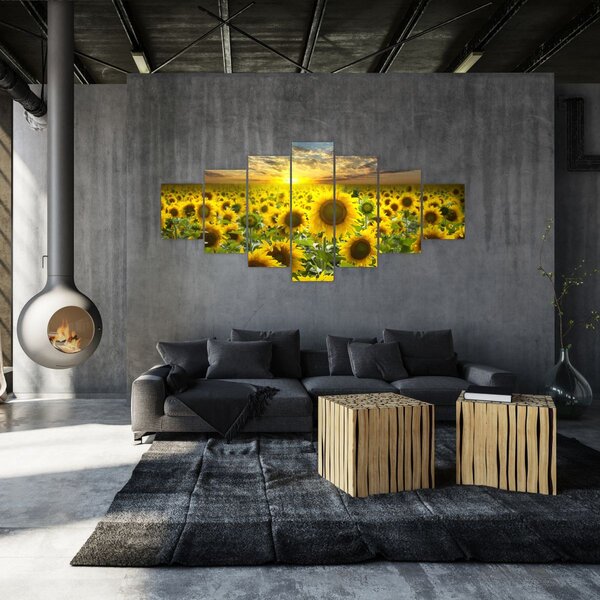 Obraz - Slunečnice při západu slunce (210x100 cm)