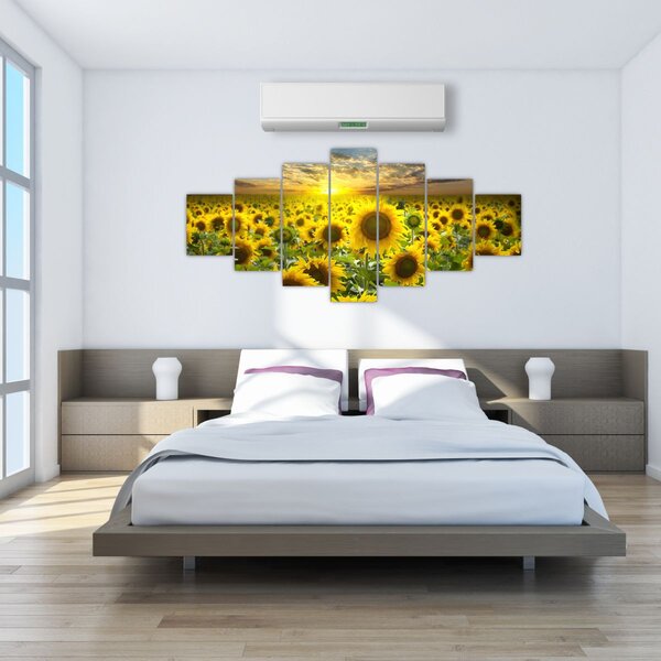 Obraz - Slunečnice při západu slunce (210x100 cm)