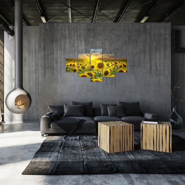 Obraz - Slunečnice při západu slunce (125x70 cm)
