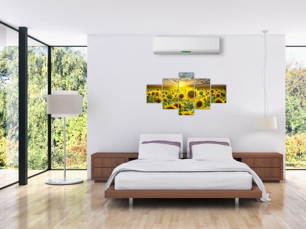 Obraz - Slunečnice při západu slunce (125x70 cm)