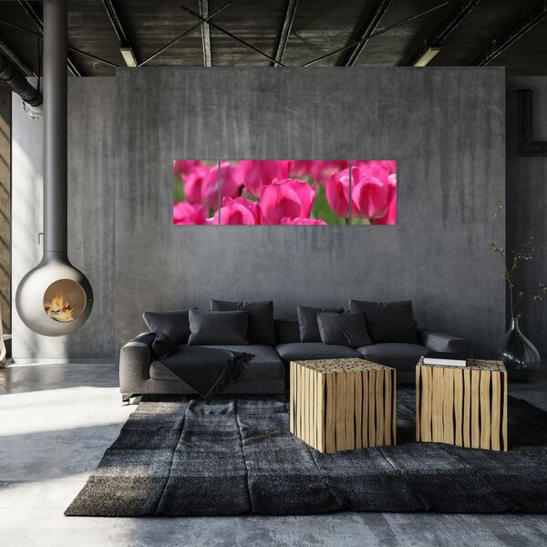 Obraz - Růžové tulipány (170x50 cm)