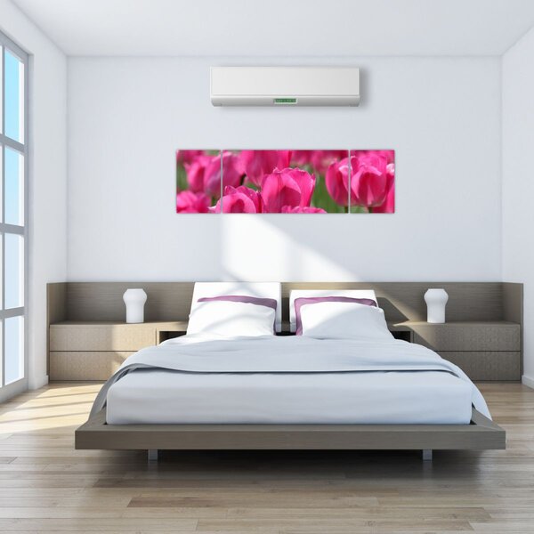 Obraz - Růžové tulipány (170x50 cm)