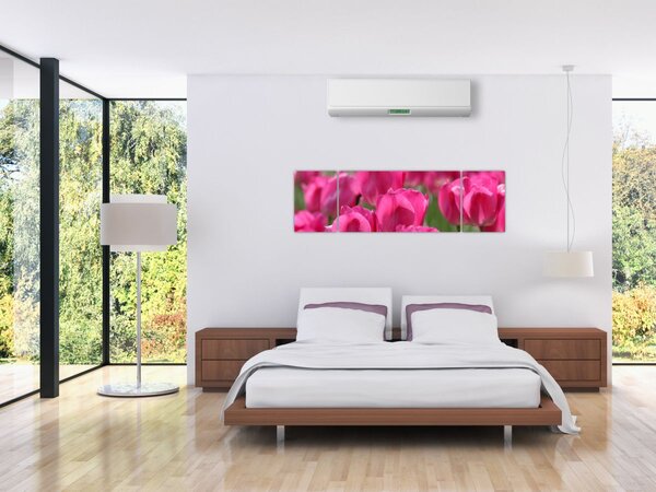 Obraz - Růžové tulipány (170x50 cm)
