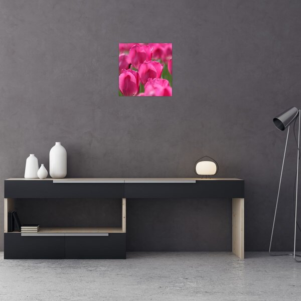 Obraz - Růžové tulipány (30x30 cm)