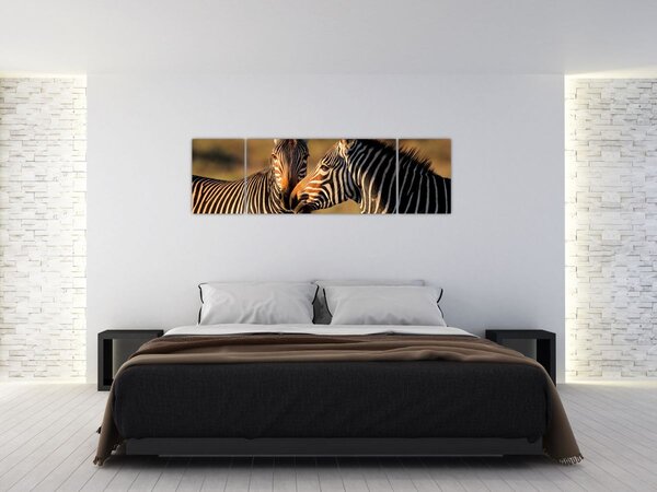 Obraz - Dvě zebry (170x50 cm)