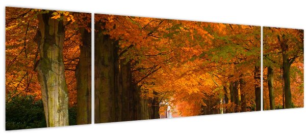 Obraz - Alej stromů na podzim (170x50 cm)