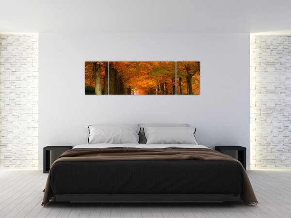 Obraz - Alej stromů na podzim (170x50 cm)