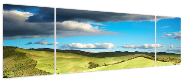 Obraz - Zelená krajina s pahorky (170x50 cm)