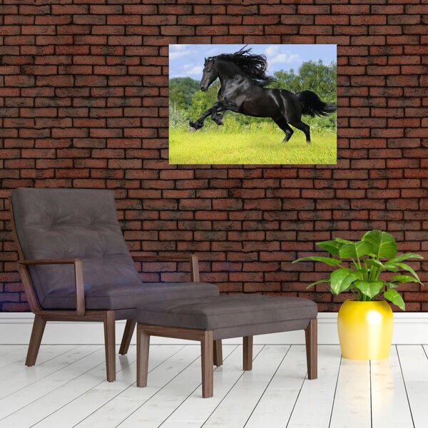 Obraz - Kůň s rozevlátou hřívou (70x50 cm)