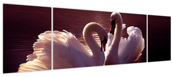 Obraz - Labutě na jezeře (170x50 cm)