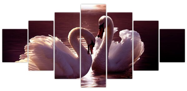 Obraz - Labutě na jezeře (210x100 cm)