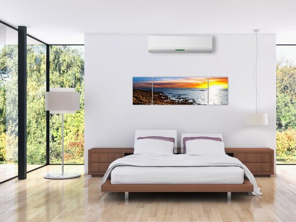 Obraz - Racek letící nad pobrežím (170x50 cm)