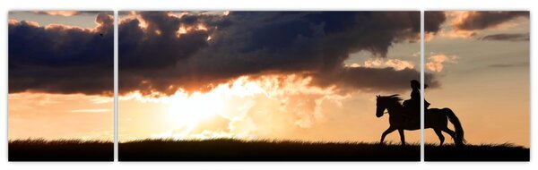 Obraz - Jezdec na koni při západu slunce (170x50 cm)