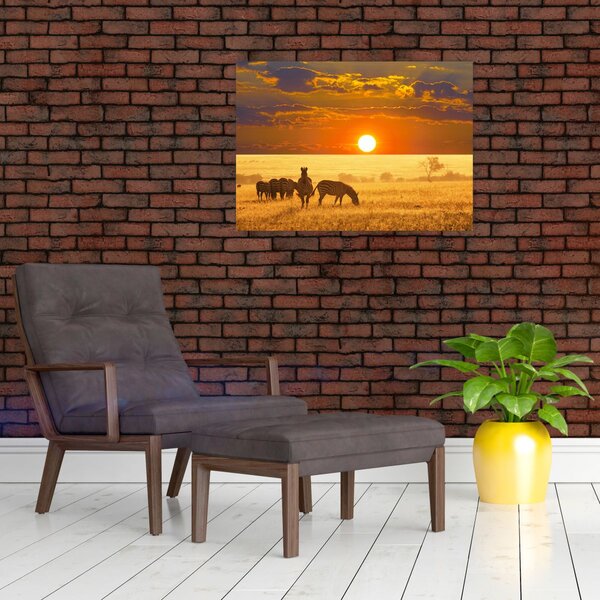 Obraz - Zebry se západem slunce (70x50 cm)