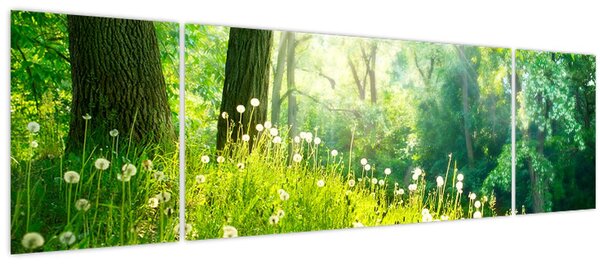 Obraz - Magická louka plná pampelišek (170x50 cm)