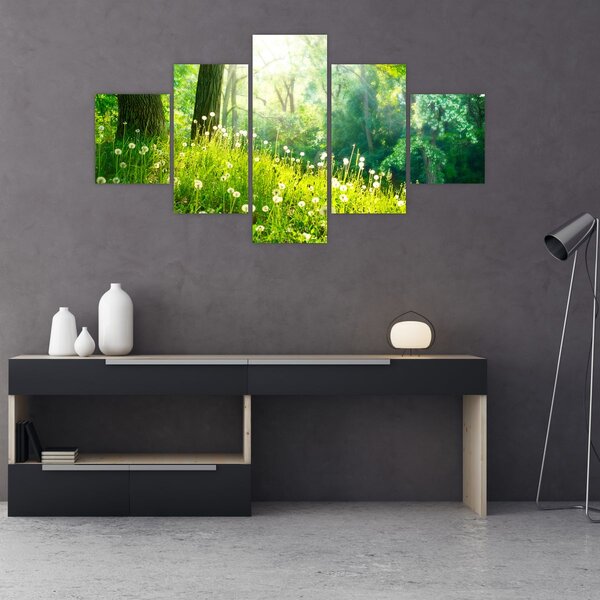 Obraz - Magická louka plná pampelišek (125x70 cm)