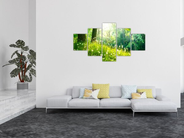 Obraz - Magická louka plná pampelišek (125x70 cm)