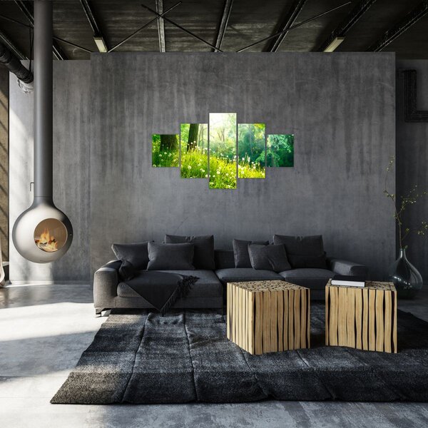Obraz - Magická louka plná pampelišek (125x70 cm)