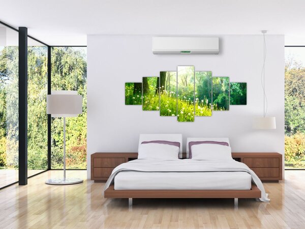 Obraz - Magická louka plná pampelišek (210x100 cm)