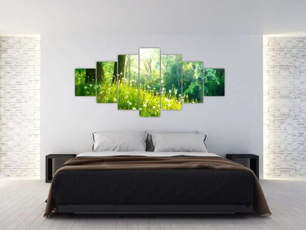 Obraz - Magická louka plná pampelišek (210x100 cm)