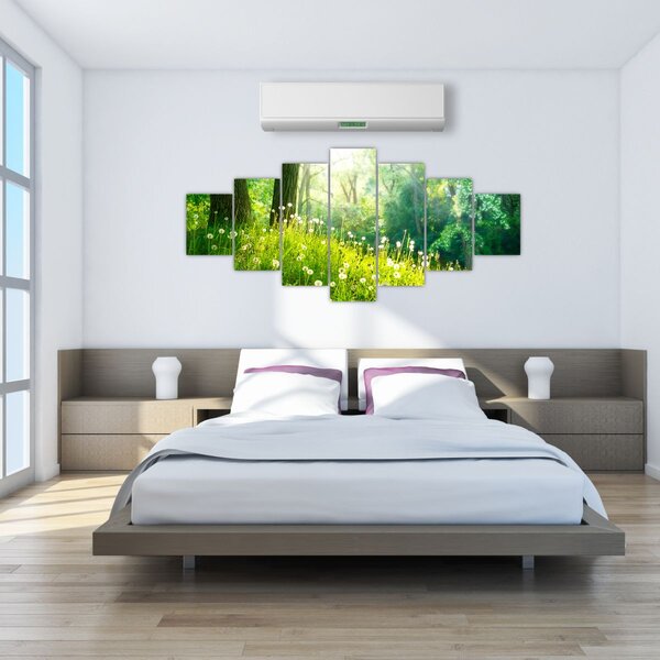Obraz - Magická louka plná pampelišek (210x100 cm)
