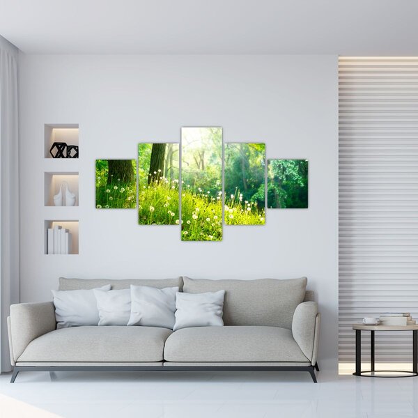 Obraz - Magická louka plná pampelišek (125x70 cm)
