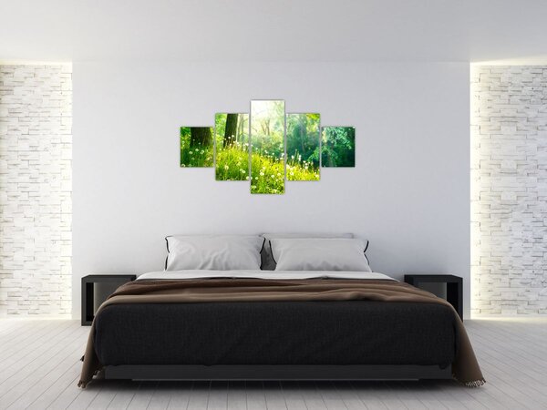 Obraz - Magická louka plná pampelišek (125x70 cm)