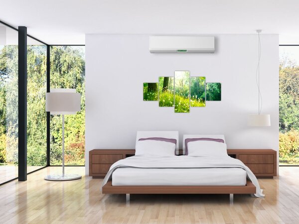 Obraz - Magická louka plná pampelišek (125x70 cm)