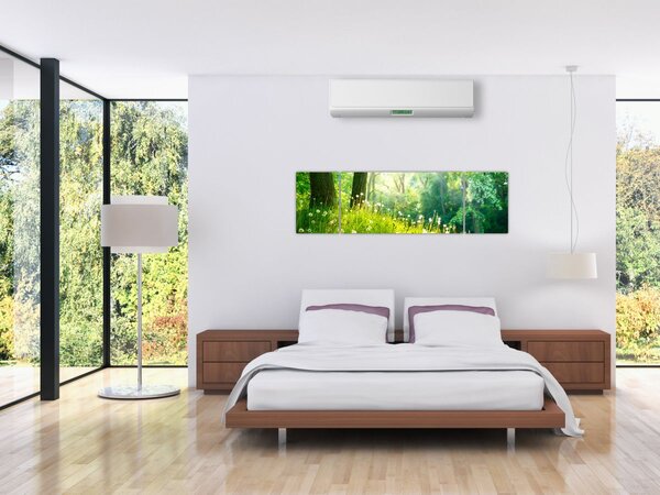 Obraz - Magická louka plná pampelišek (170x50 cm)