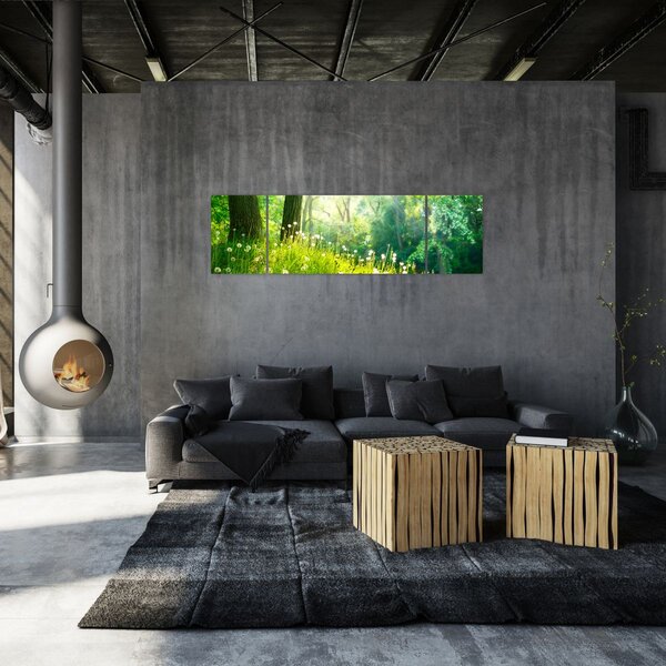 Obraz - Magická louka plná pampelišek (170x50 cm)
