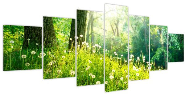 Obraz - Magická louka plná pampelišek (210x100 cm)