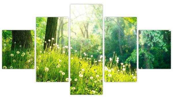 Obraz - Magická louka plná pampelišek (125x70 cm)