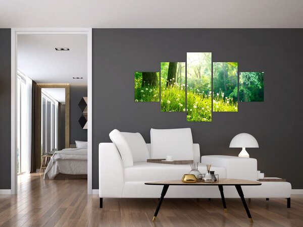 Obraz - Magická louka plná pampelišek (125x70 cm)