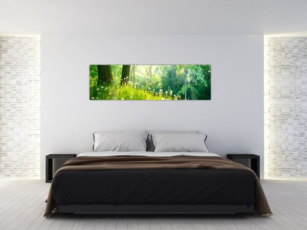 Obraz - Magická louka plná pampelišek (170x50 cm)