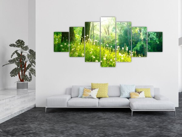 Obraz - Magická louka plná pampelišek (210x100 cm)