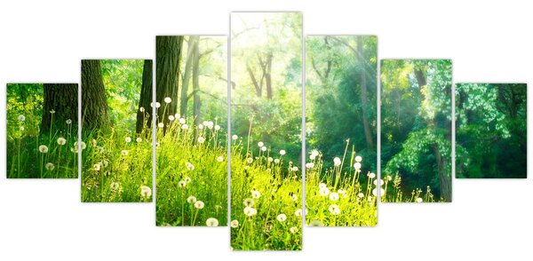 Obraz - Magická louka plná pampelišek (210x100 cm)