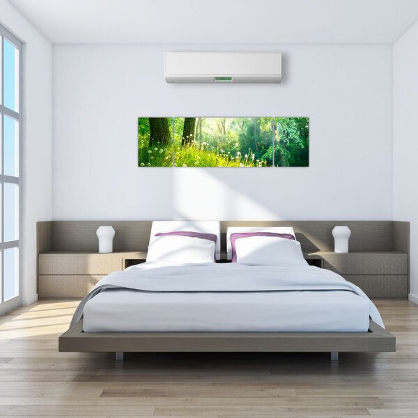 Obraz - Magická louka plná pampelišek (170x50 cm)