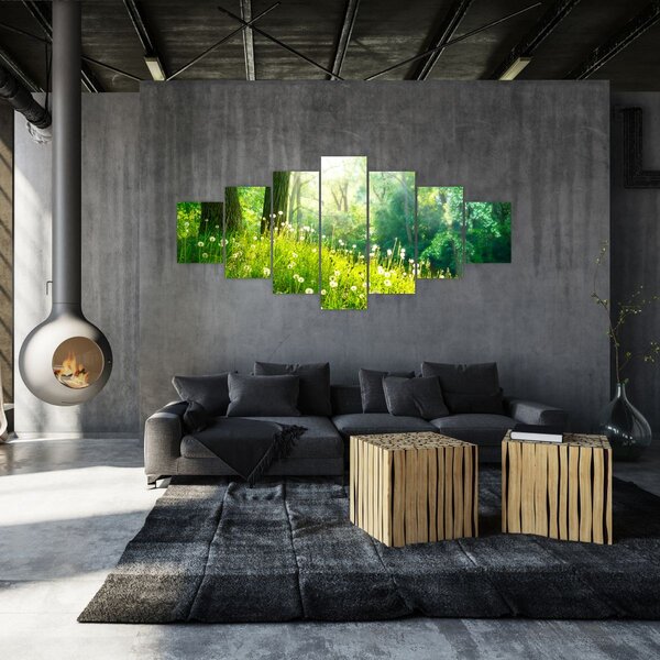 Obraz - Magická louka plná pampelišek (210x100 cm)